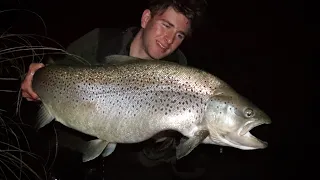 Fishing The Twizel Canals For Bows And Browns