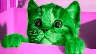 МОЙ МАЛЕНЬКИЙ КОТЕНОК Симулятор котенка  Little Kitten My Favorite Cat