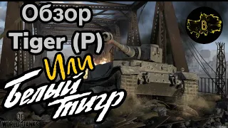 Белый тигр пугает рандом • Обзор Tiger (P) • WoT-Blitz || Boom Pro 2006