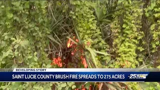 St. Lucie County brush fire grows to 275 acres, Department of Health issues a caution about smoke