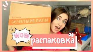 ПОКУПКИ ДЛЯ ПИТОМЦЕВ ИЗ ЗООМАГАЗИНА! РАСПАКОВКА ПОКУПОК ИЗ ЗООМАГАЗИНА!  ЗООПОКУПКИ + УБОРКА У КРЫС