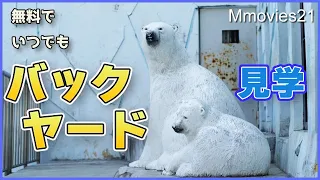 【しろくまの家訪問】かつてホッキョクグマがここに暮らしていた野毛山動物園(横浜市)