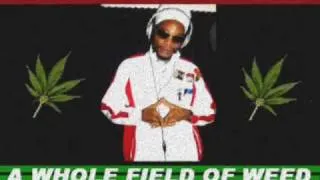 Prophet Benjamin- A Whole Field of Weed