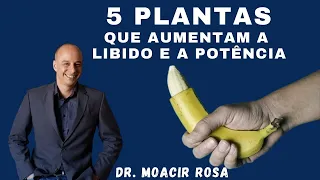 LIBIDO E POTÊNCIA 5 Plantas que Aumentam || Dr. Moacir Rosa