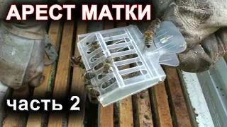 Арест матки для получения маточников тихой смены.  часть 2.