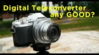 Olympus Digital Teleconverter - ANY good?