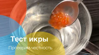 Тест икры кипятком. Навес и старый знакомый гость