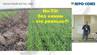 16 лет No-Till без химии в хозяйстве Усовых