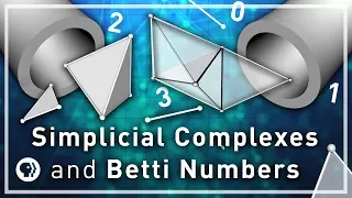 Simplicial Complexes - Your Brain as Math Part 2 | Infinite Series