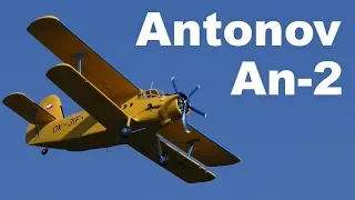 Antonov An-2, scale RC biplane, 2019