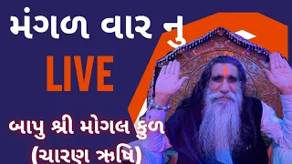 બાપુ શ્રી લાઇવ પ્રવચન|| મોગલ ધામ કબરાઉ|| bapu Shree interview||Mogal Dham Kabrau Katch||#interview