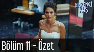 Erkenci Kuş 11. Bölüm - Özet