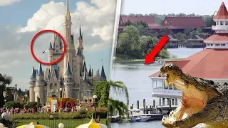 14 Unzulässige BEKENNTNISSE von Disneyland-Angestellten