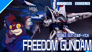 #Gunpla #newtype MG Freedom Gundam Ver.2.0