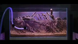 4 Best Hardscape Aquarium Designs