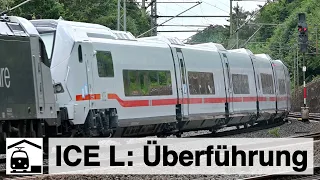 Überführung ICE L durch RailAdventure [Kinzigtalbahn: Langenselbold + Steinau]