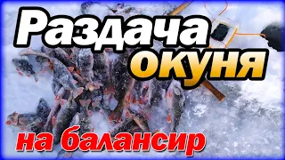 Ловля окуня. Чебоксарская ГЭС. часть 2