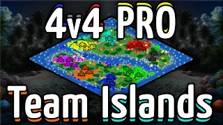 4v4 Pro Team Islands