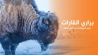 براري عجائب القارات دليل الحيوانات من أجل البقاء | كويست عربية quest Arabiya
