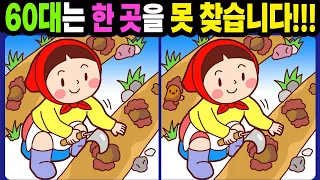 【다른그림찾기/치매예방】60대는 한 곳을 못 찾습니다!【틀린그림찾기/두뇌운동/숨은그림찾기/Find the Difference/치매예방퀴즈】973