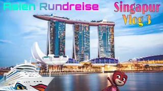 Asien Rundreise 🇸🇬 Vlog 3 in Singapur 🛳Aida Bella Thailand, Malaysia & Singapur 2🥰
