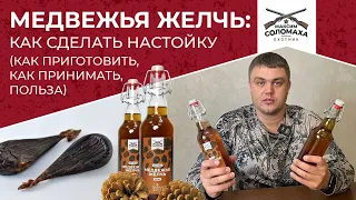 Медвежья желчь: как сделать настойку в домашних условиях, как приготовить, польза и как ее принимать