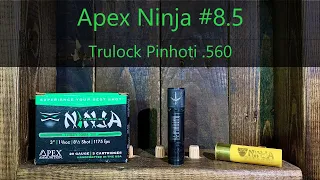Turkey Pattern Test: Apex Ninja TSS 20ga + Pinhoti .560 choke + Rem 870