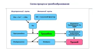 Острый коронарный синдром (часть 4): профилактика ретромбоза коронарной артерии (продолжение) 2024