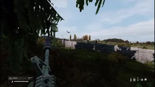 DayZ friendly fire accident