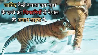 Orphan Boy from Nepal Saved a Tiger Cub from Poachers | Tigers Nest 2022 movie explained in hindi