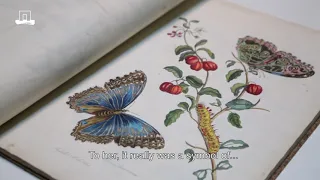 Maria Sibylla Merian's book on insects in Surinam
