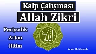 Allah Zikri | Kalp çalışması | Artan Hızda ve faydalı bilgiler | Kalbin dirilişi