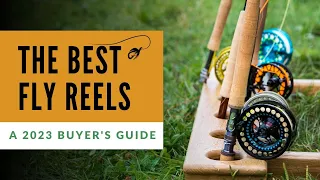 Best Fly Reels (A Top 10 Buyer's Guide for 2023)