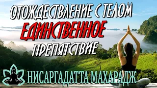 Шри Нисаргадатта Махарадж [ Отождествление с телом-единственная преграда ]