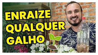 Técnica para enraizar qualquer galho sem gastar 1 real