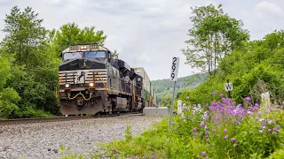 Spring Action on the NS Southern Tier Line