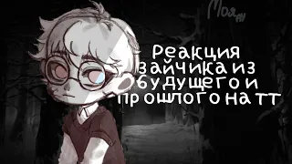 Реакция Зайчик из будущего и прошлого на тт 1/?