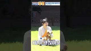 🐶: I have to protect my bro #boss_pet | KBS WORLD TV