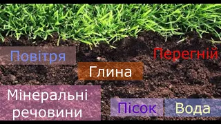 Чому ґрунти є важливим природним ресурсом України. ЯДС, 4 клас