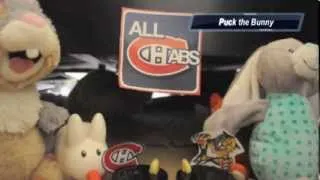 Puck the Bunny Predicts: Montreal Canadiens vs Florida Panthers