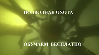 Бесплатные обучение тренировки по подводной охоте Ткачук Алексей