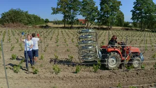 Jak zbudować trwałą konstrukcję winnicy?