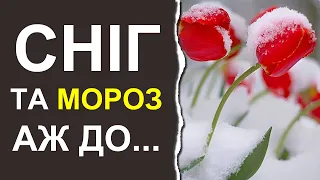 Чим здивує початок березня 2024: Погода в Україні на 10 днів