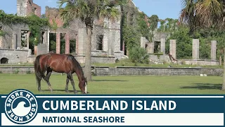 Cumberland Island National Seashore, Georgia - Things to Do and See When You Go