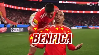 ♫ LALARALARA EU AMO O BENFICA - MUSICA SUMMER JAM