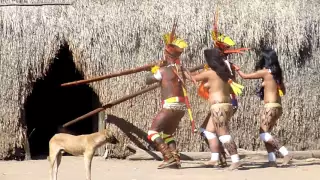 Brazil...Xingu..Indios  Kamayura.. Kuarup /I  day/