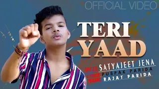 Teri Yaad Jab Jab Aati Hai | Teri Yaad Satyajeet Jena | Satyajeet Jena Official Video | Teri Yaad |