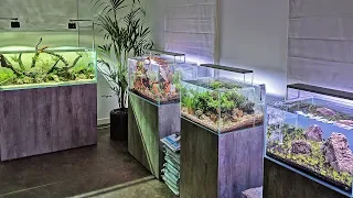 Beautiful New Aquascaping Store