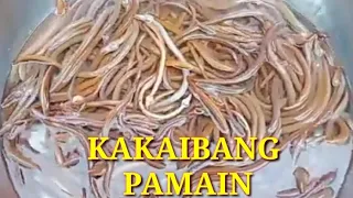 VLOG#27:KAKAIBA AT NAPAKA-EPEKTIBONG PAMAIN SA KITANG O PALANGRE..PANUORIN NYO ITO!