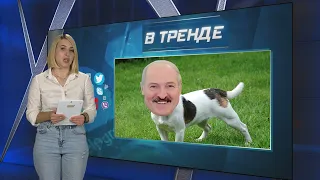Лукашенко принес карты на интервъю и заявил, что цели войны выполнены | В ТРЕНДЕ